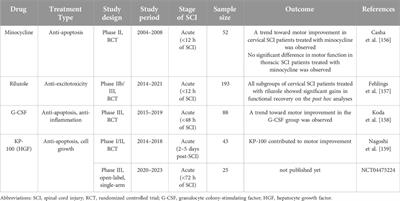 Bridging the gap: a translational perspective in spinal cord injury